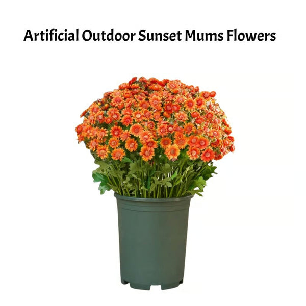 AutumnBloom – Dauerhafte Herbstschönheit ganz ohne Pflege!