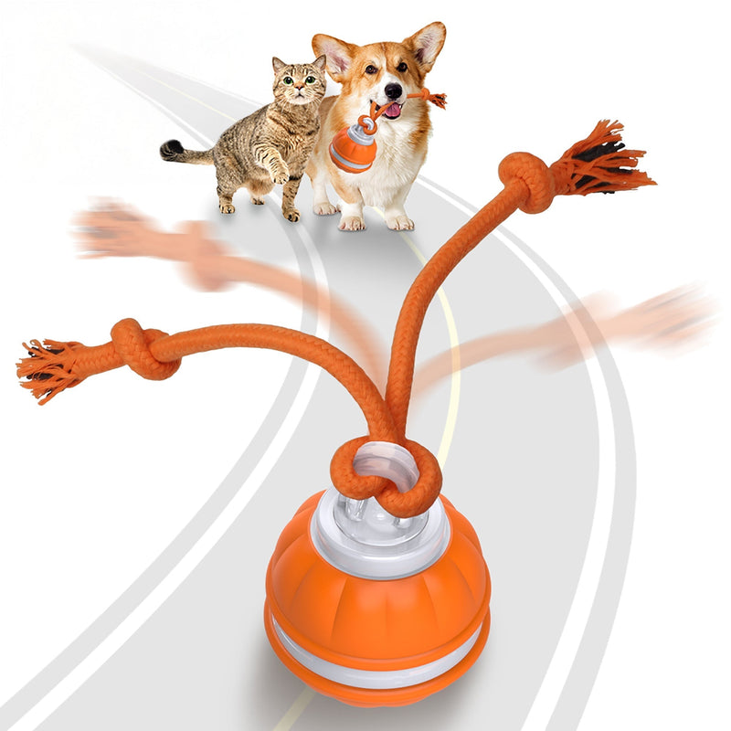 PawiBall – Endlich ein glücklicher und gut ausgelasteter Hund