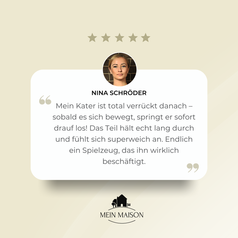 HugglePet – Der Spielkamerad, der mitdenkt