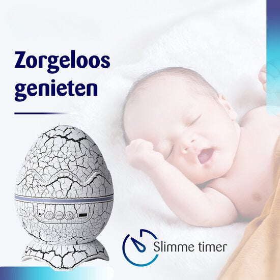 DinoDream – Zauberhafte Nächte für alle Altersgruppen!