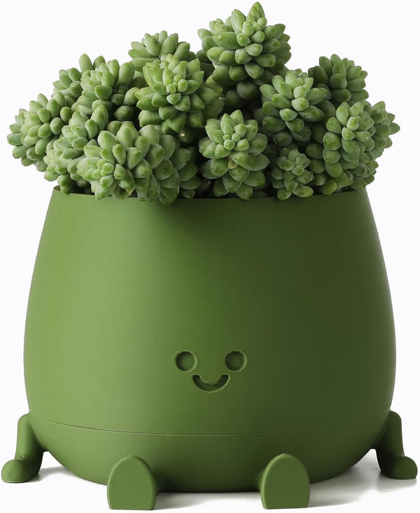BloomBuddy – Glückliche Pflanzen, fröhliches Zuhause