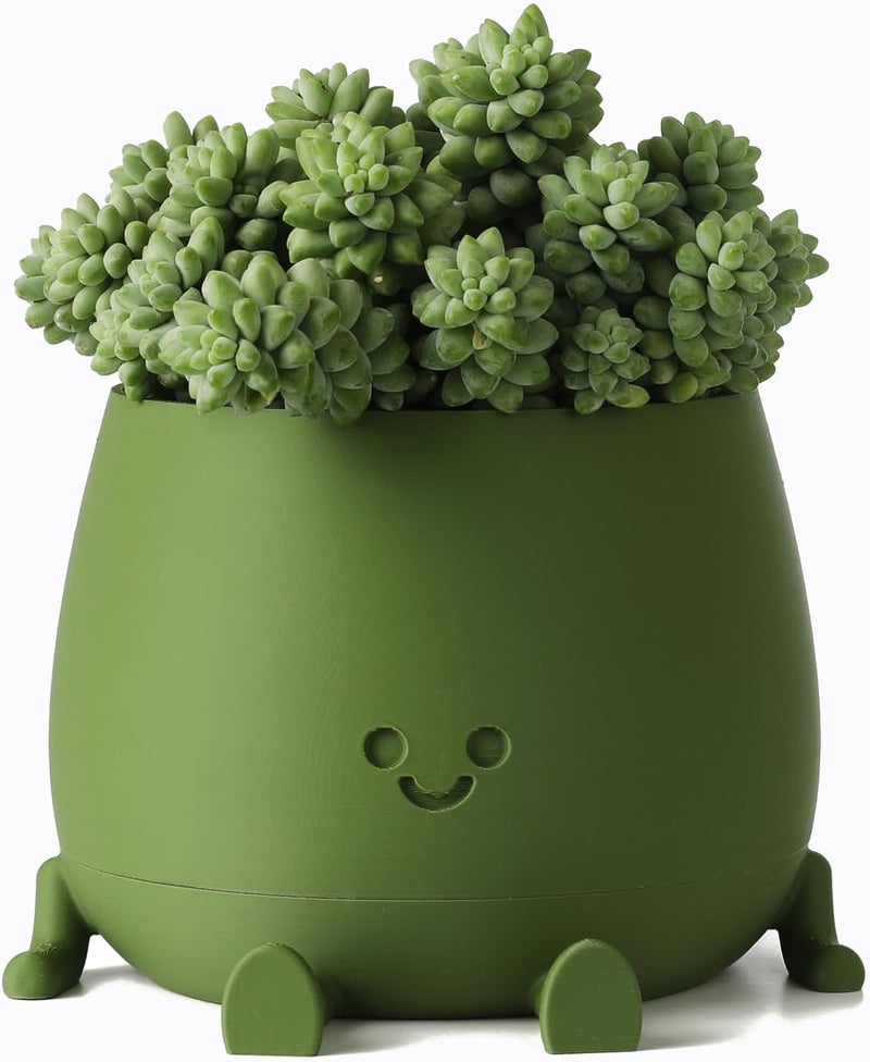 BloomBuddy – Glückliche Pflanzen, fröhliches Zuhause