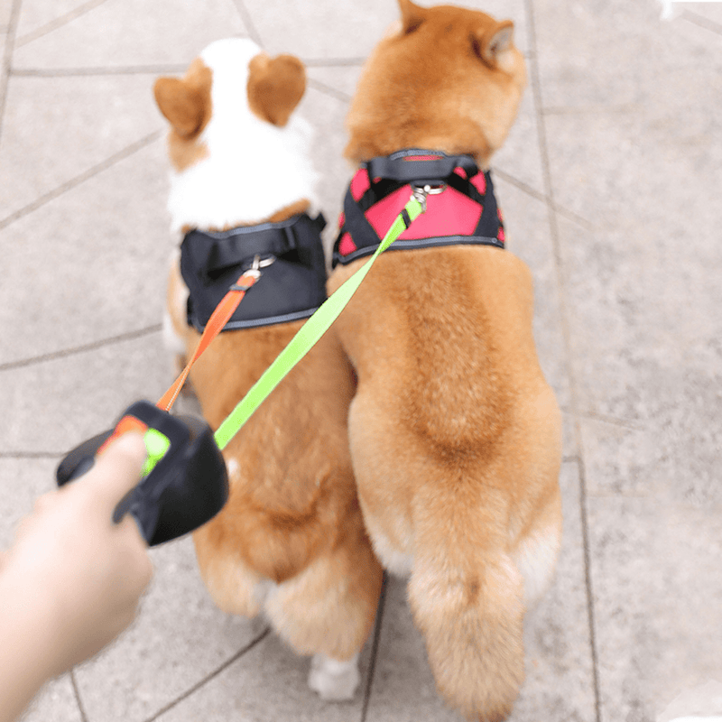 LumiPup - Doppelte Hundeleine mit Taschenlampe zum Umwickeln