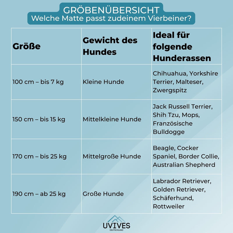 CoolPlay – Sommerlicher Wasserspaß für Hunde & Kinder