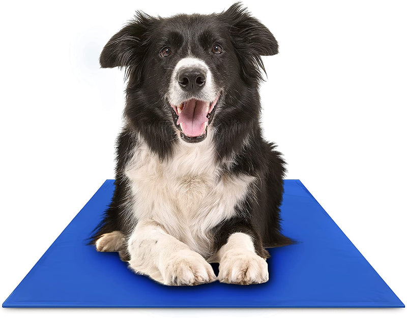 FrescuraPet Kühlmatte für Hunde & Katzen | Selbstkühlend & Gelenkschonend | Faltbar & Tragbar | 5 Größen | Blau