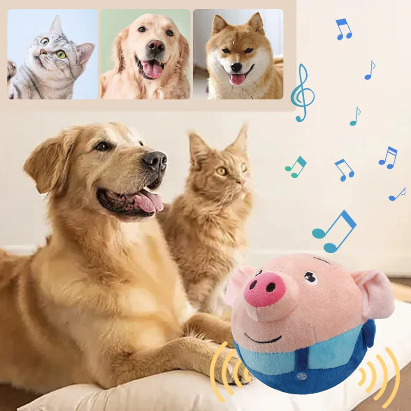 PawMotion – Stundenlanges Spielen ohne Langeweile