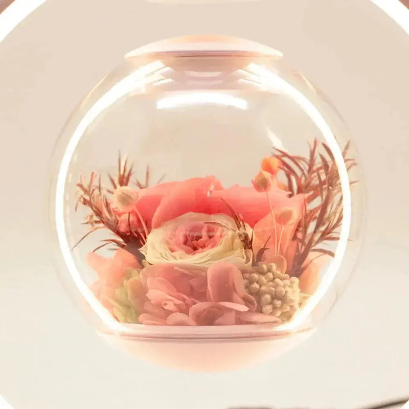 Floravia Schwebelampe mit Ewiger Blume | Magnetisch & LED-beleuchtet | Touch-Steuerung | Glas & Metall | 25 cm