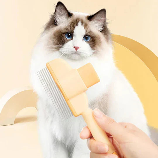 PawCare – Fellpflege auf Knopfdruck!