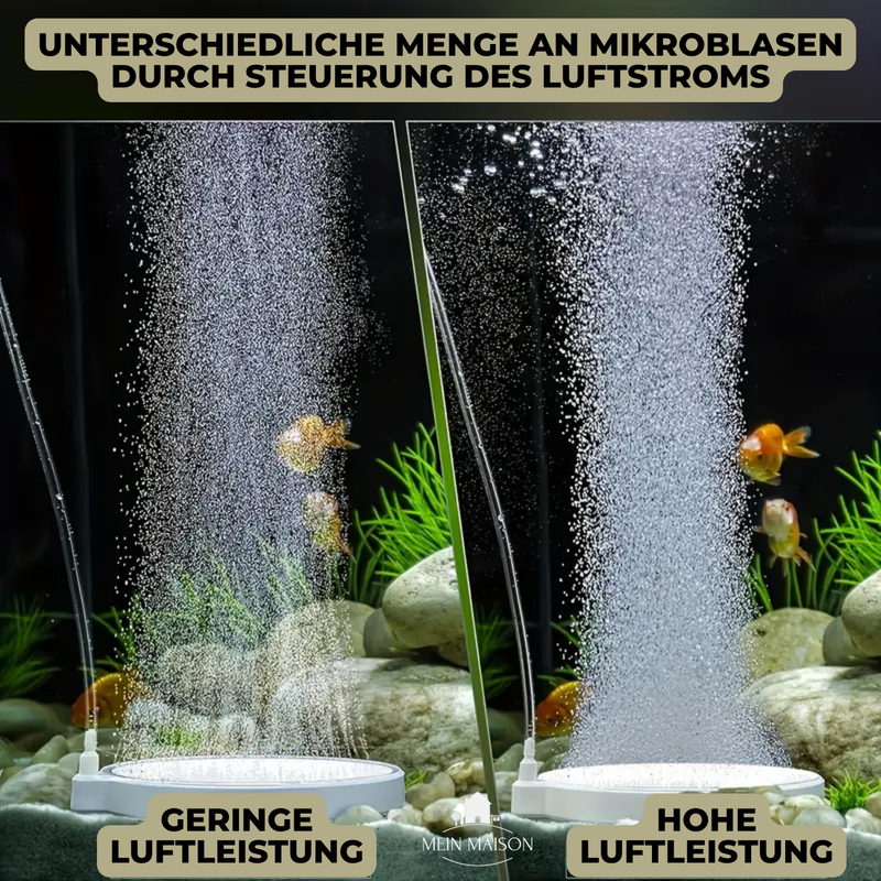 AquaBreathe Nano – Flüsterleise Frischluft für dein Aquarium