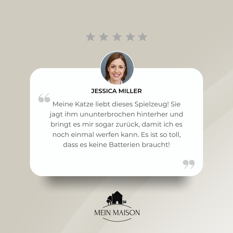 FeatherBounce – Spannender Spielspaß für energiegeladene Katzen!