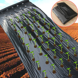 AgroVent Gelochte Agrarfolie aus PE | 95 cm Breite | Für Gemüseanbau & Feuchtigkeitsschutz | Wärme- & Wachstumsfördernd
