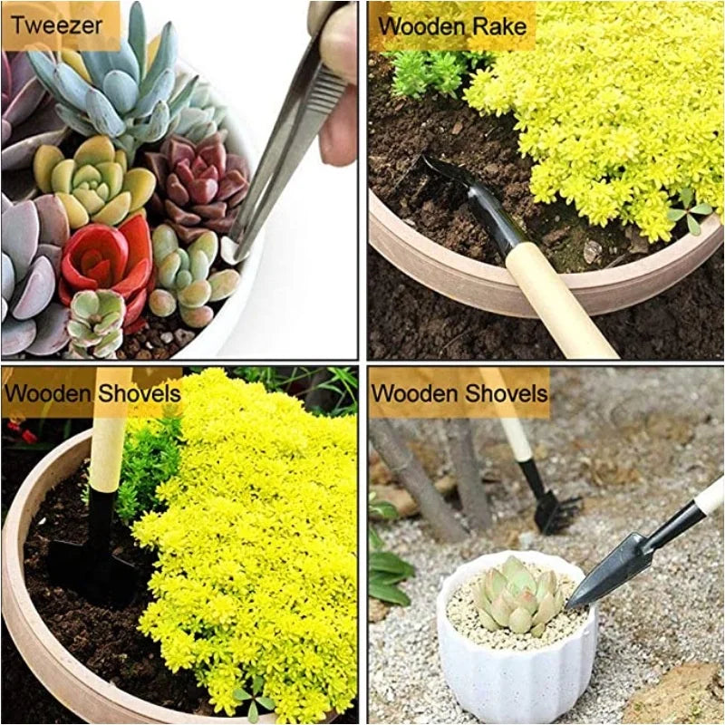 GreenCraft MiniSet 13-teiliges Garten- und Bonsai-Pflanzset | Mini-Werkzeuge für Umtopfen, Aussaat & Pflege von Sukkulenten | Edelstahl & ABS | 13 × 7 cm