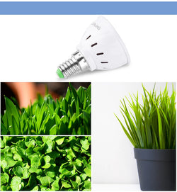 Pflanzenlampe LED | E27/E14/B22/GU10/MR16 | Vollspektrum | 48/60 LEDs für Wachstum & Blüte
