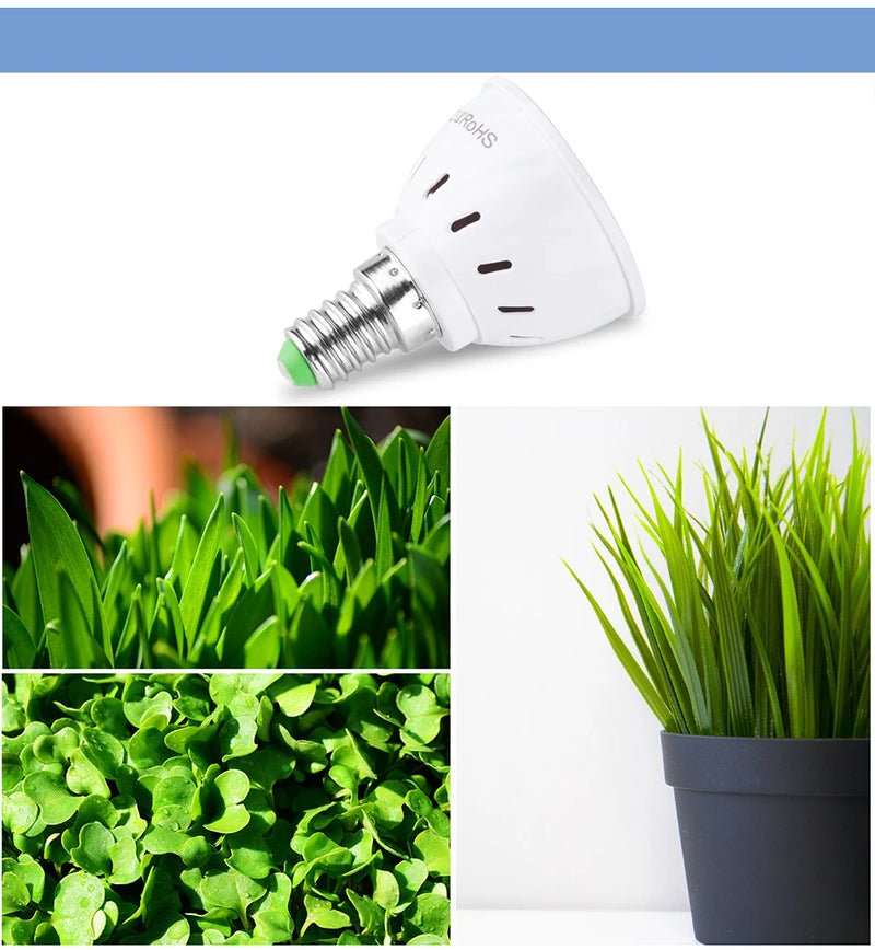 Pflanzenlampe LED | E27/E14/B22/GU10/MR16 | Vollspektrum | 48/60 LEDs für Wachstum & Blüte