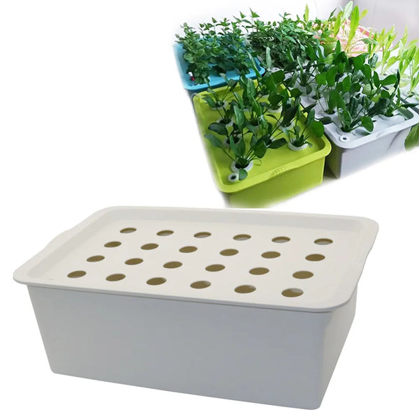 Hydroponik Pflanzbox GrowLeaf 24 | 24 Pflanzstellen | Für Indoor Anzucht | Mit Belüftung & Zubehör