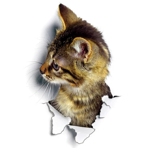 Wandsticker DecoraNova | Selbstklebend & abnehmbar | Wasserdicht | Umweltfreundliches PVC