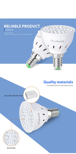 Pflanzenlampe LED | E27/E14/B22/GU10/MR16 | Vollspektrum | 48/60 LEDs für Wachstum & Blüte