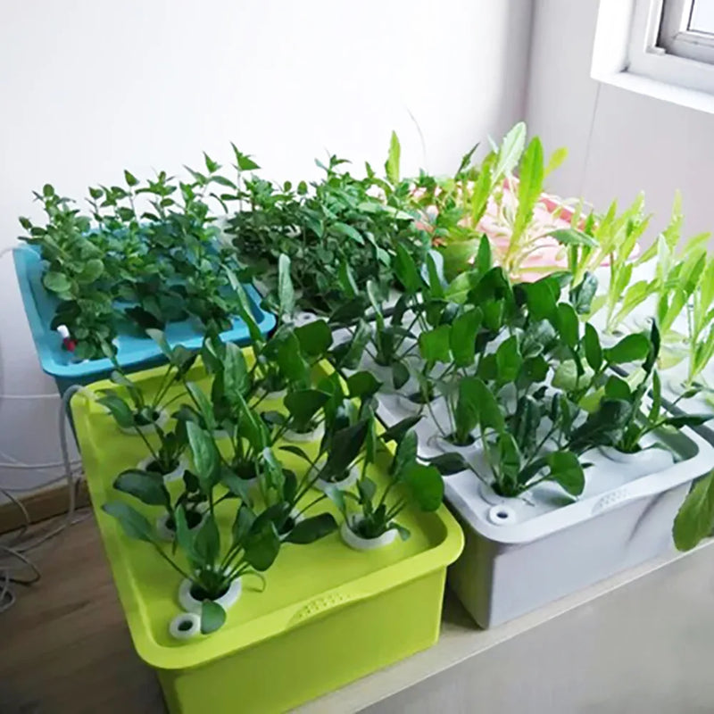 Hydroponik Pflanzbox GrowLeaf 24 | 24 Pflanzstellen | Für Indoor Anzucht | Mit Belüftung & Zubehör
