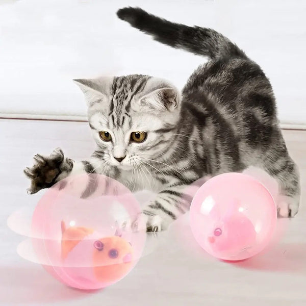 Katzenspielzeug RolliPets | Interaktive Tierfreunde | Fördert Jagdinstinkt & Bewegung | Sicher & Langlebig