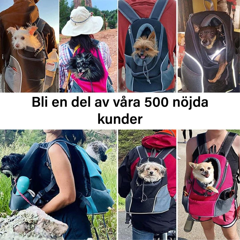 PawCarry – Gemeinsam überall unterwegs
