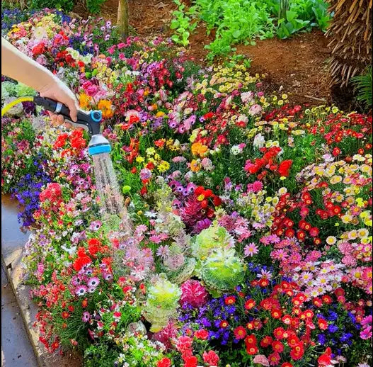 BloomMix – Farbenfrohe Blütenvielfalt das ganze Jahr