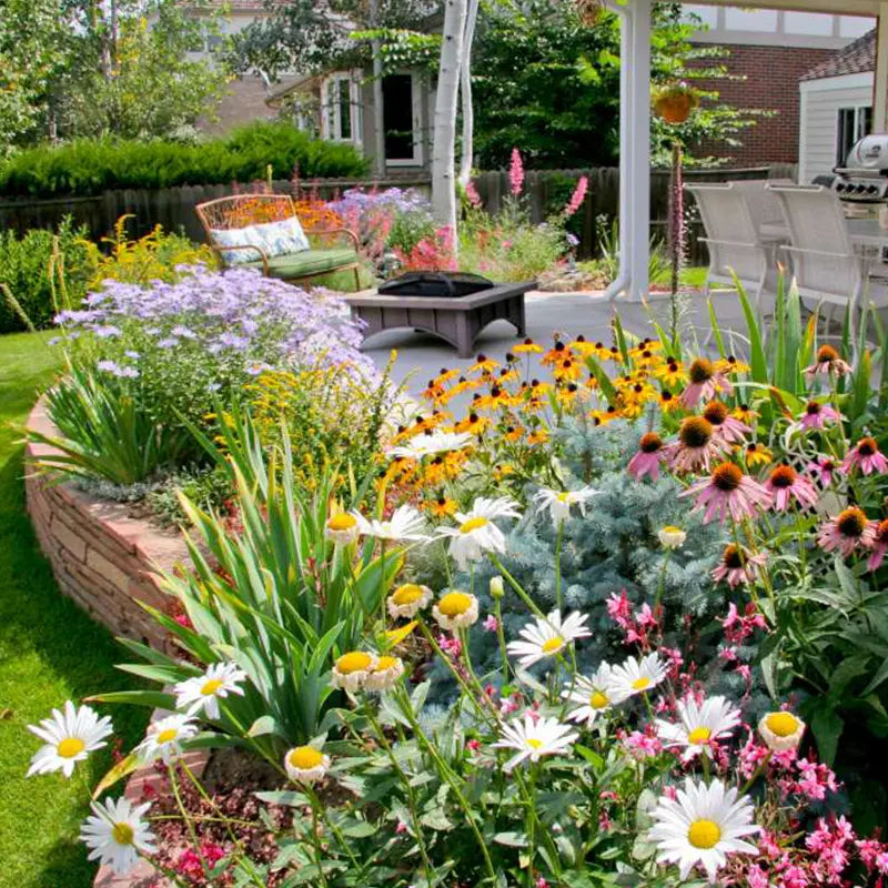 BloomMix – Farbenfrohe Blütenvielfalt das ganze Jahr