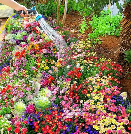 BloomMix – Farbenfrohe Blütenvielfalt das ganze Jahr