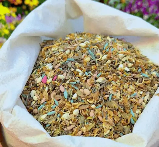 BloomMix – Farbenfrohe Blütenvielfalt das ganze Jahr