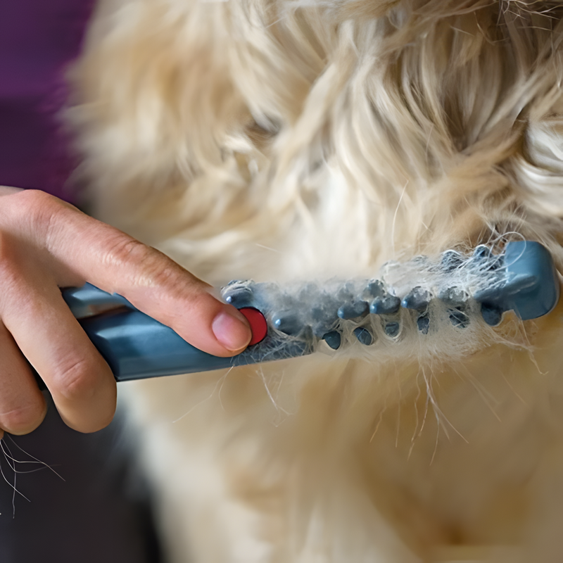 Fellona Knotenfreier Haustier-Trimmer | Schmerzfreie Fellpflege für Hunde & Katzen | Für alle Felltypen geeignet
