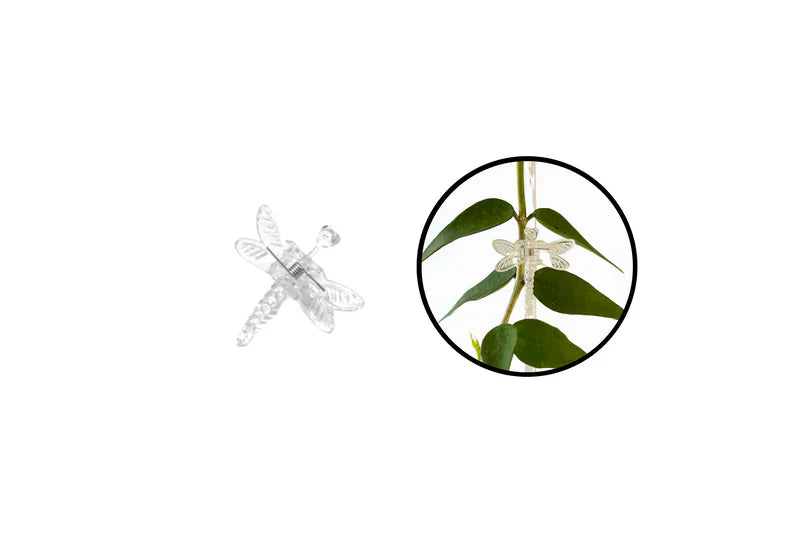 Entdecke Florifix Stengelclips für Kletterpflanzen | Unsichtbare Pflanzenhalter | 100 Stück | Transparentes Design