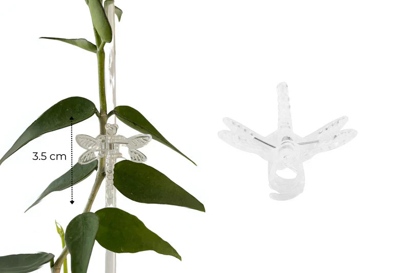 Entdecke Florifix Stengelclips für Kletterpflanzen | Unsichtbare Pflanzenhalter | 100 Stück | Transparentes Design