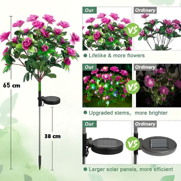 FlowerLume – Blüten, die im Dunkeln leuchten