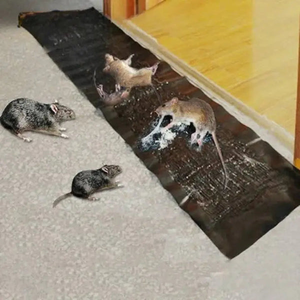 RatTrap – Ungiftige Klebefalle gegen Schädlinge