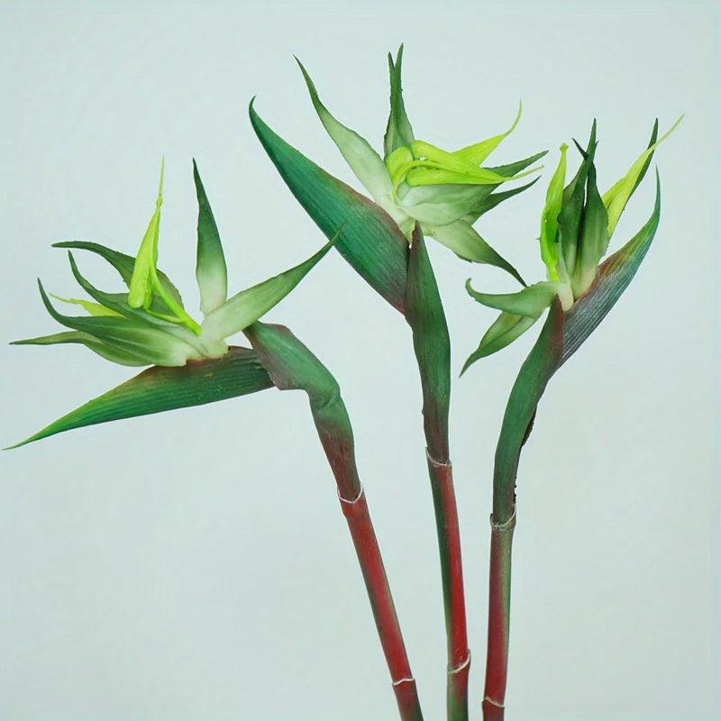Floriva 3er Set Künstliche Strelitzien | Paradiesvogelblumen | 24.5 cm Lange Stiele | Deko für Zuhause, Büro & Events