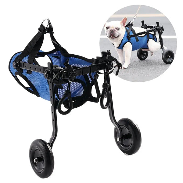 Vetalino Hunderollstuhl für kleine Hunde | Verstellbarer Reha-Wagen | Leicht & Stabil | Mobilitätshilfe bei Gehproblemen