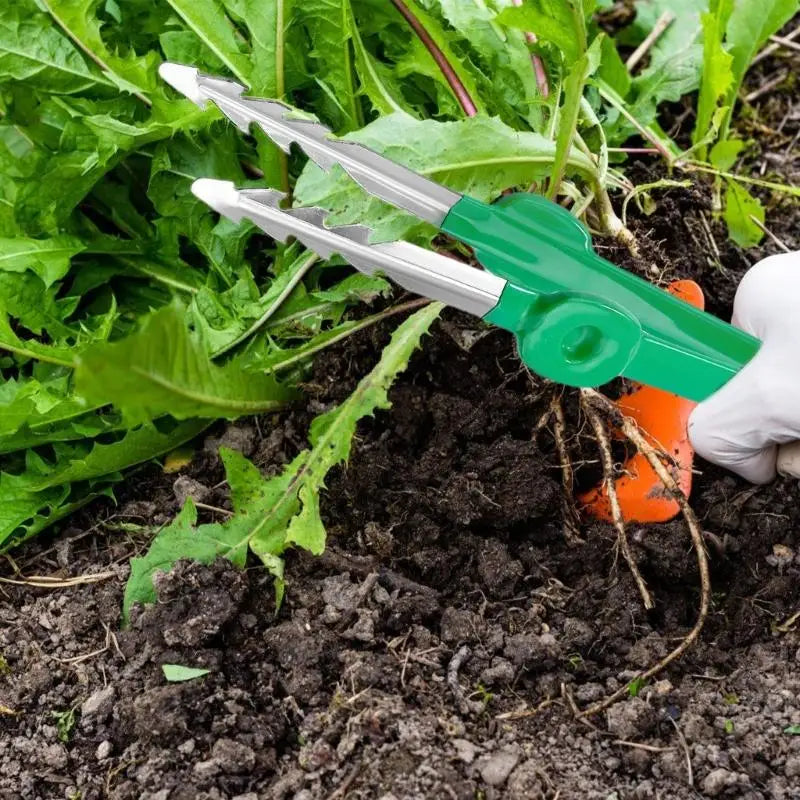 Floraclip Gartenpinzette aus Edelstahl | Präzisionswerkzeug mit Krallenspitze | Rutschfest & Rostfrei | 18,8 cm Länge