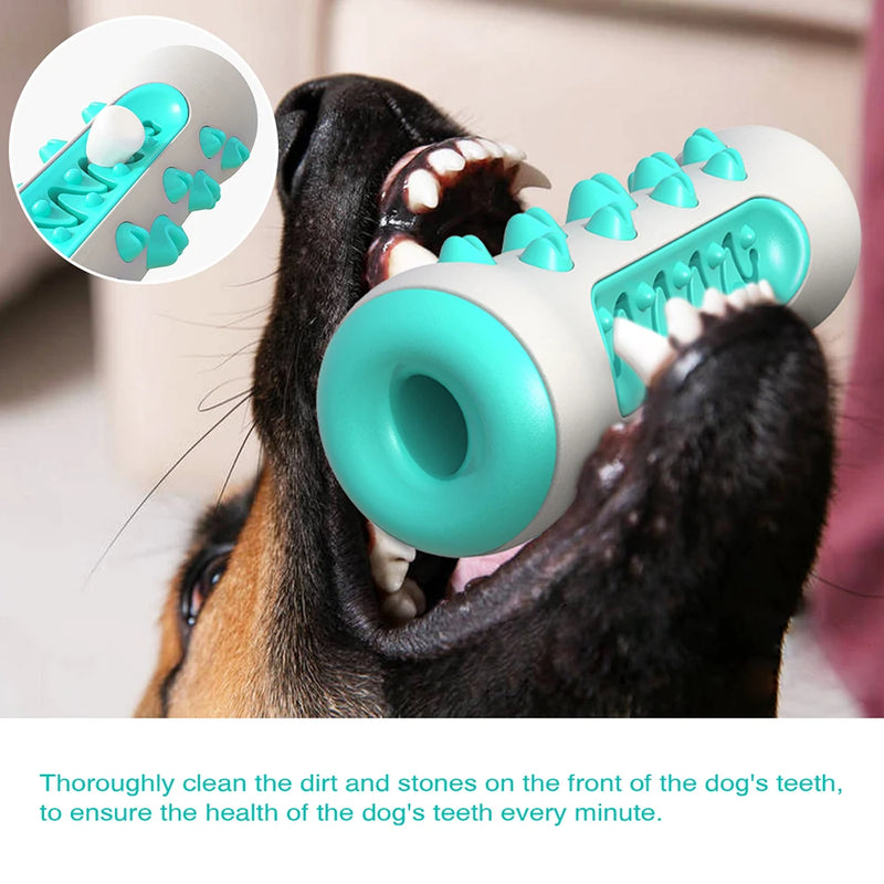 ChewCare Pro Hundezahnbürsten-Kauspielzeug | Interaktiver Kaustab für mittlere & große Hunde | Zahnreinigung & Stressabbau