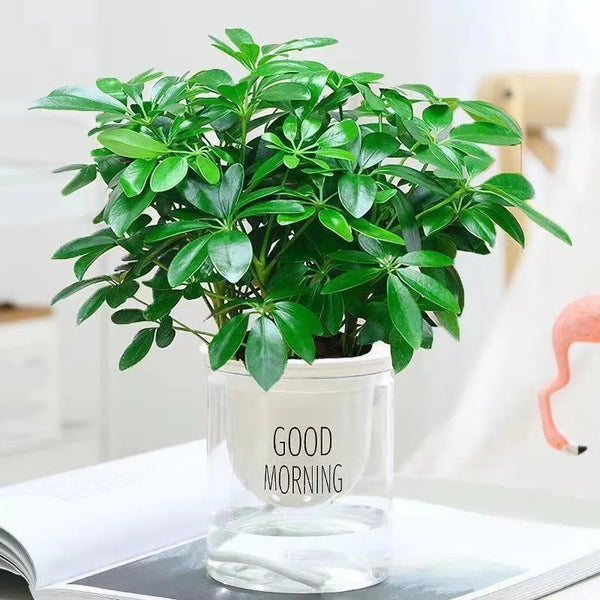 Kunstpflanze EverLeaf 33 | 33 cm | Mit Stiel & Blättern | Pflegeleichte Deko für Zuhause & Büro