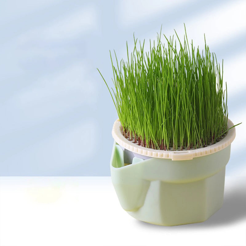 GreenPaws Keimschale | Cat Grass Pflanzbecher | Aus lebensmittelechtem PP | Für Weizengras, Bohnen & mehr | Ohne Erde