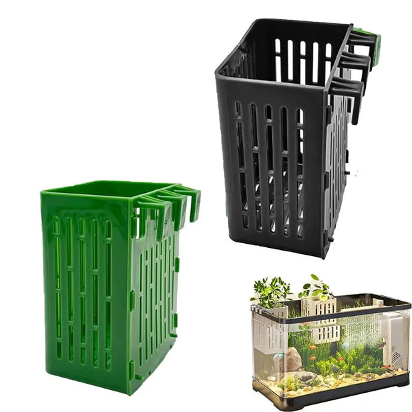 1+1 GRATIS | TankBloom – Natürliche Schönheit ohne Pflege!
