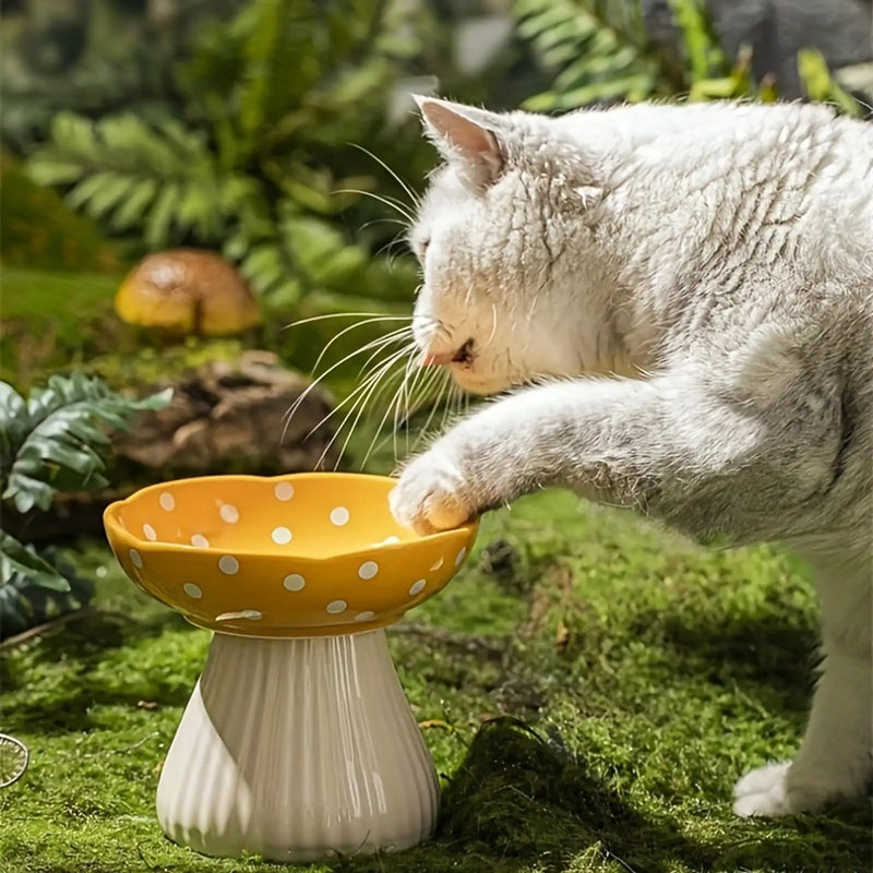 Whiskerella Katzennapf Keramik Erhöht | 15 cm Pilzdesign | Schonend für Schnurrhaare & Nacken | Für Futter & Wasser | Neigbare Form