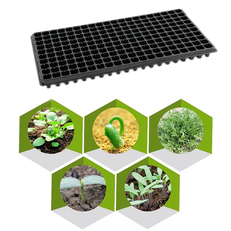 GerminaX Anzuchtplatte mit 200 Zellen | 53 × 27 cm | Für Gemüse, Obst & Kräuter | Wiederverwendbare Keimschale aus PVC
