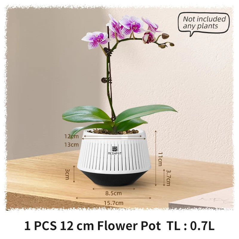 Aeroluna Orchideentopf mit Belüftungslöchern | Perfekte Drainage | Für Innen & Außen | 12 cm | Robustes PP-Material