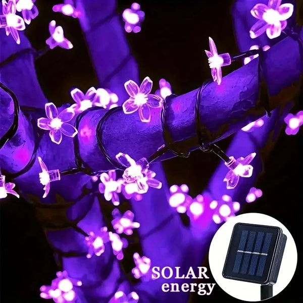 Solar Lichterkette LumiCord | Warmweißes LED-Licht | Energiesparend & Wetterfest | Für Garten, Balkon & Feste