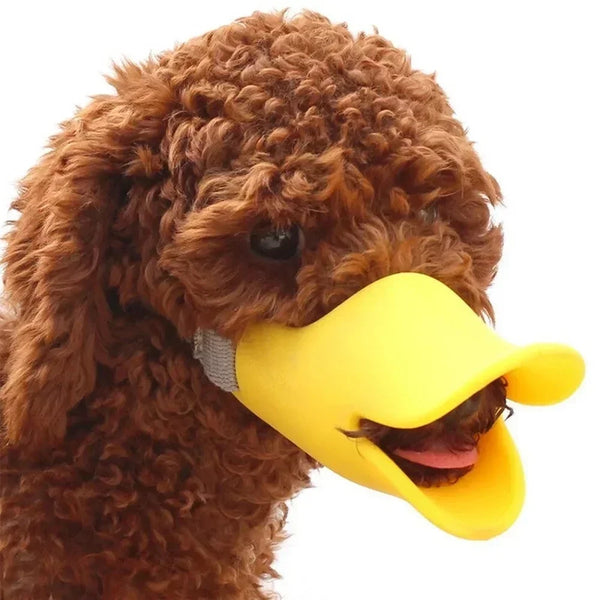 Pawmodo Hunde Maulkorb Ente | Weiches Silikon | Verstellbar & Bequem | Für Pudel, Samojeden & Teddyhunde