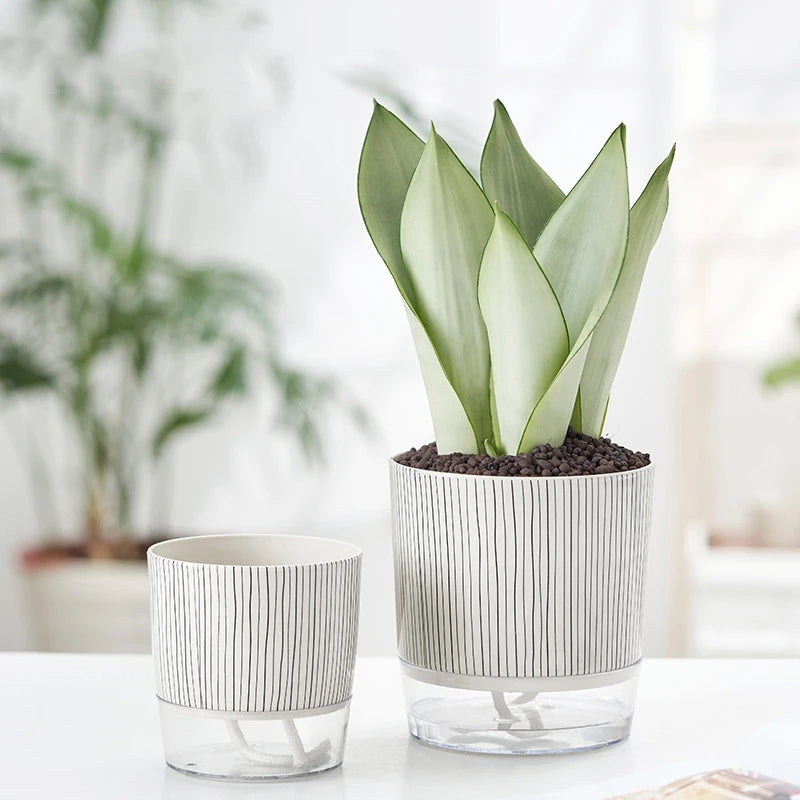 FLORANO Blumentopf | Kunststoff mit Wasserspeicher | Abnehmbar | Design Ice-Crack & Zebra