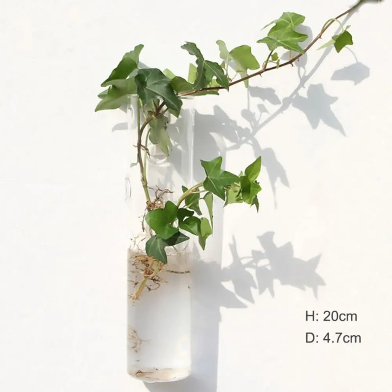 Glas Blumenvase | Transparent & Minimalistisch | Hitzebeständig & Korrosionsfest | 100 g