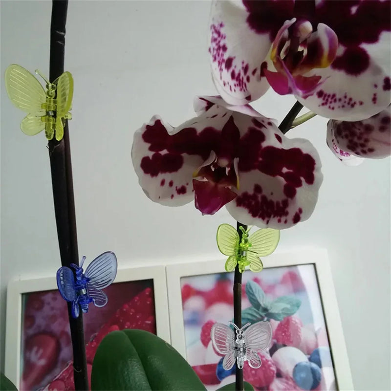FloraFix 30 Stück Orchideen- & Pflanzenclips | Bunte Schmetterlings-Clips | Für Rankhilfen & Pflanzenstütze | Kunststoff