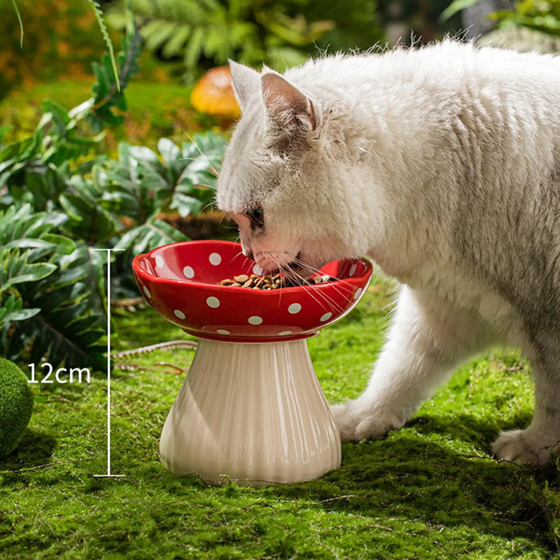 Whiskerella Katzennapf Keramik Erhöht | 15 cm Pilzdesign | Schonend für Schnurrhaare & Nacken | Für Futter & Wasser | Neigbare Form