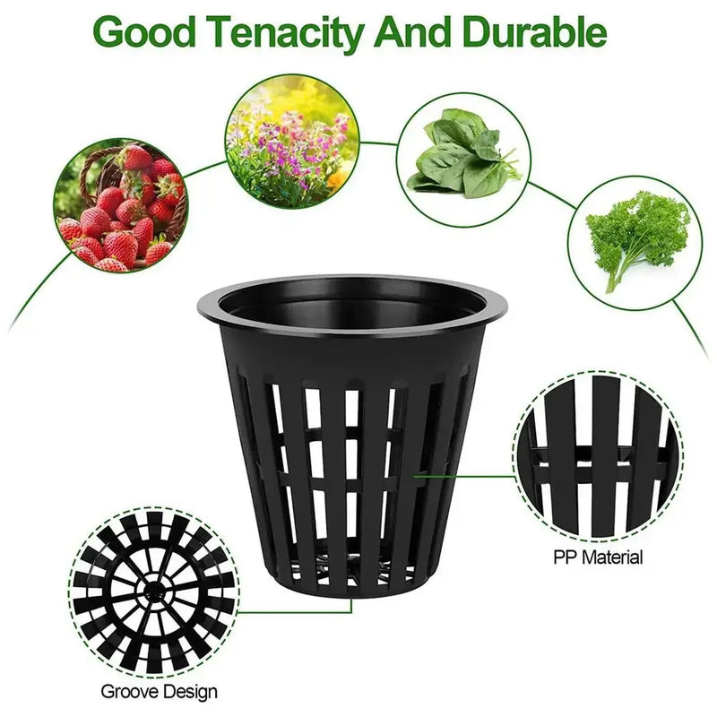 RootNet Grow | 50- 100er-Set Netzbecher für Hydrokultur & Anzucht | 5,5 × 5,5 × 5 cm | Wiederverwendbar & UV-beständig